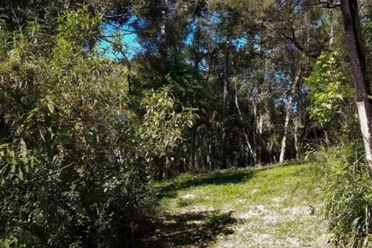 Terreno no Centro de Bom Retiro - Imperdível! - Foto 4