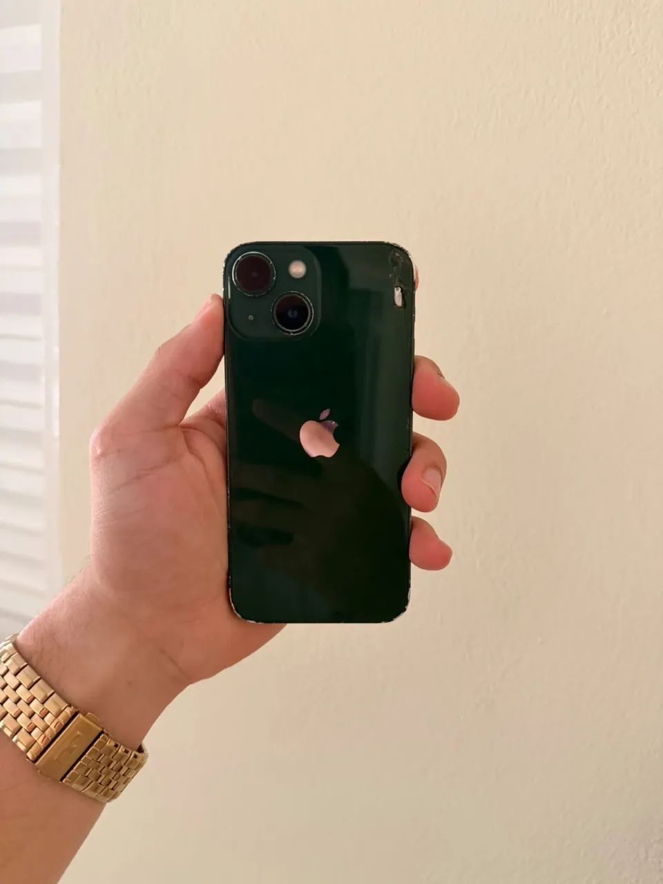 iPhone 13 mini (tudo funcionando) 