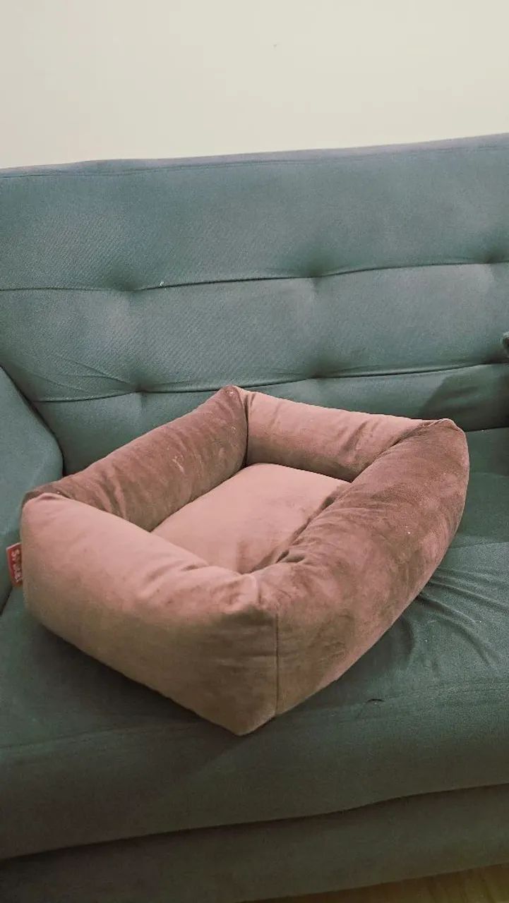 Cama pet