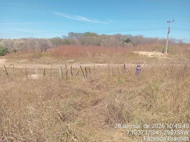 Fazenda plana próximo a Picos - Foto 5