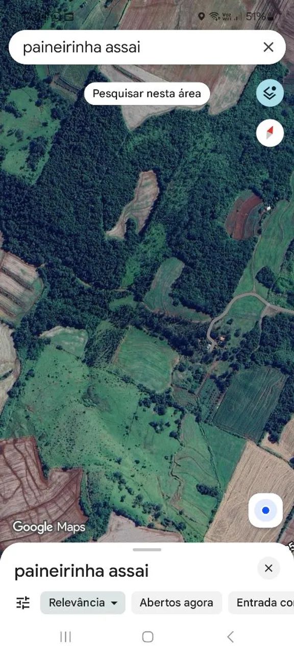 Sítio barato em Assai-pr - Foto 3
