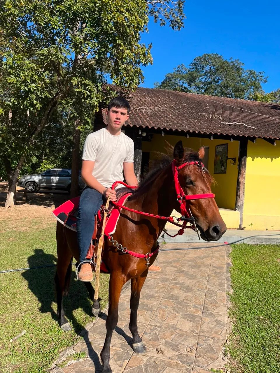 Égua  - Foto 4