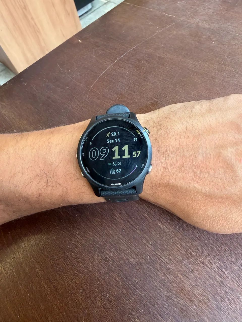 GARMIN 255 MUSIC