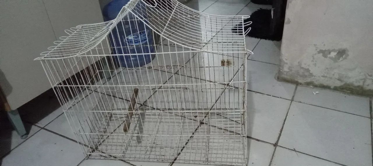 Gaiola 