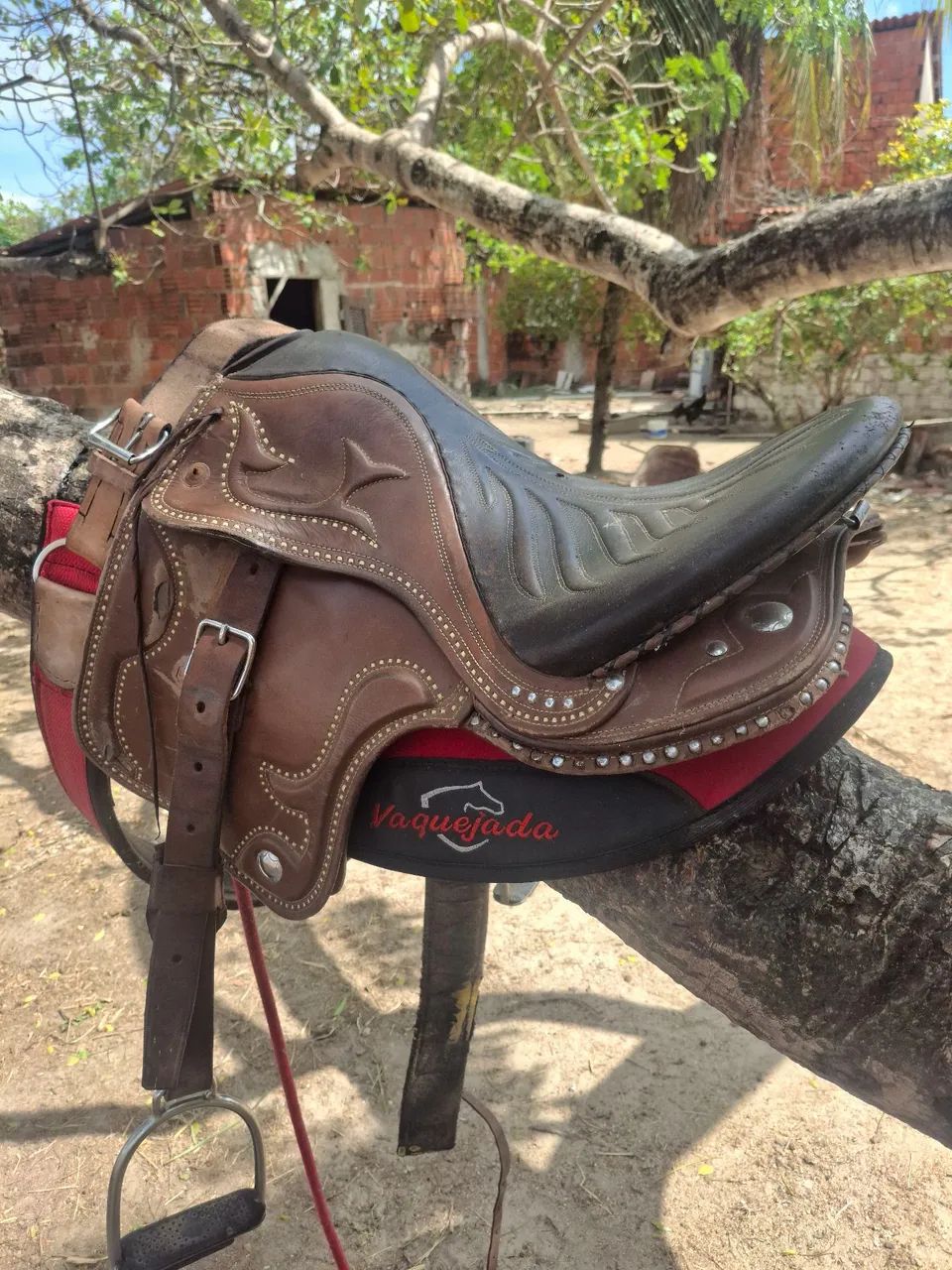 Selote para cavalo - Foto 3