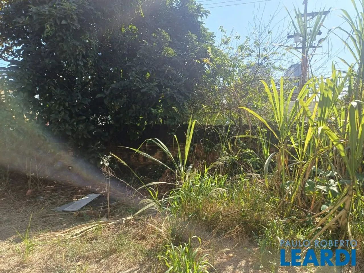 TERRENO - ÁGUA FUNDA - SP - Foto 3