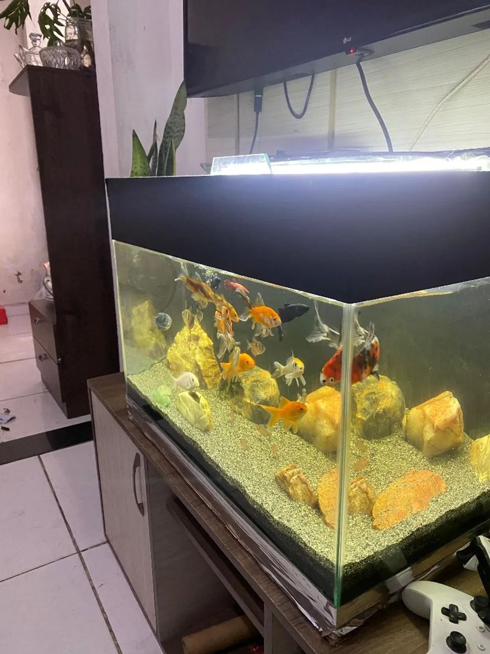 Aquário 100 Litros - Foto 3