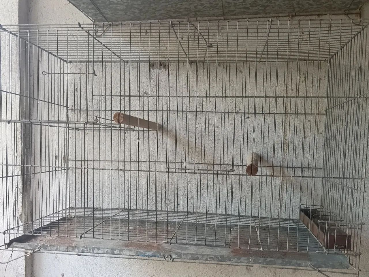 Gaiola de reprodução  - Foto 3