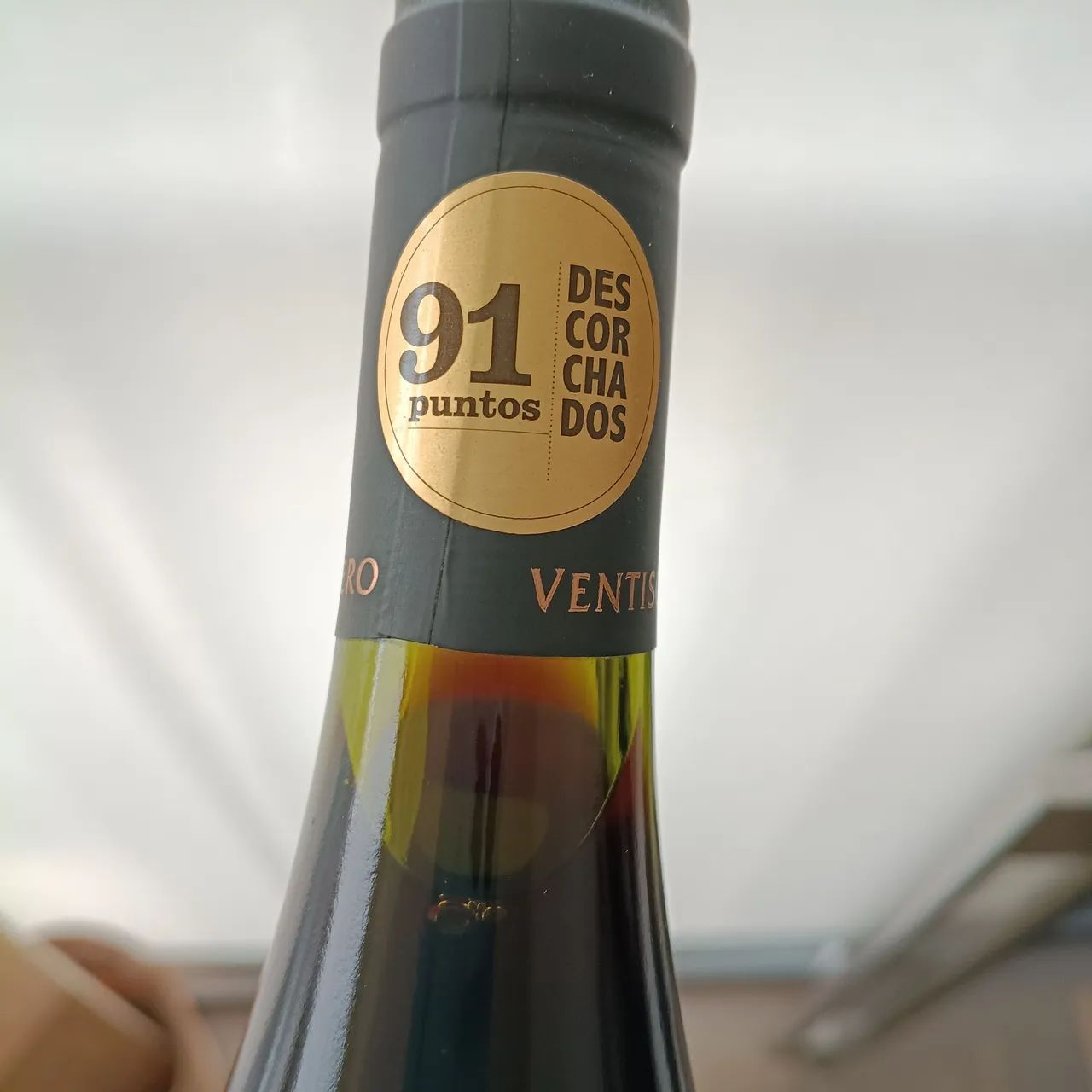 Vinho Vestiaquero Queulat Gran Reserva Cinsault 2017 - 750ml  - Foto 3