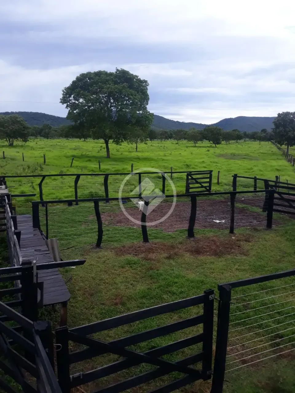 FAZENDA EM SÃO SALVADOR NO TOCANTINS codigo: 153009 - Foto 5
