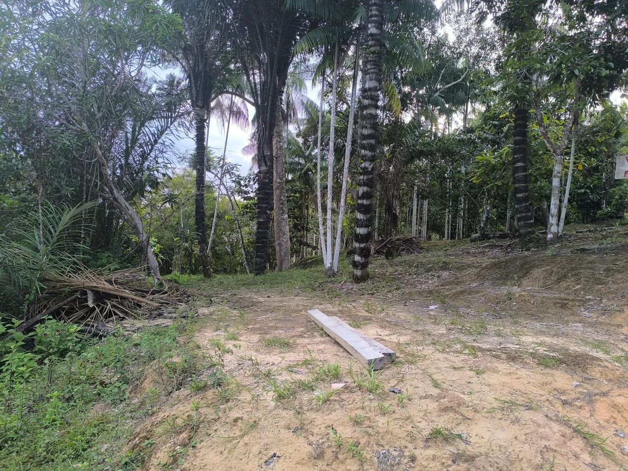Foto - Manacapuru - Vale Verde