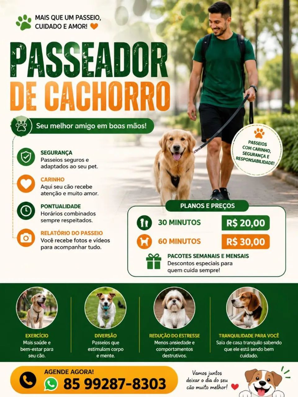 ? Passeio para Cães com Carinho e Segurança - Agende Agora!