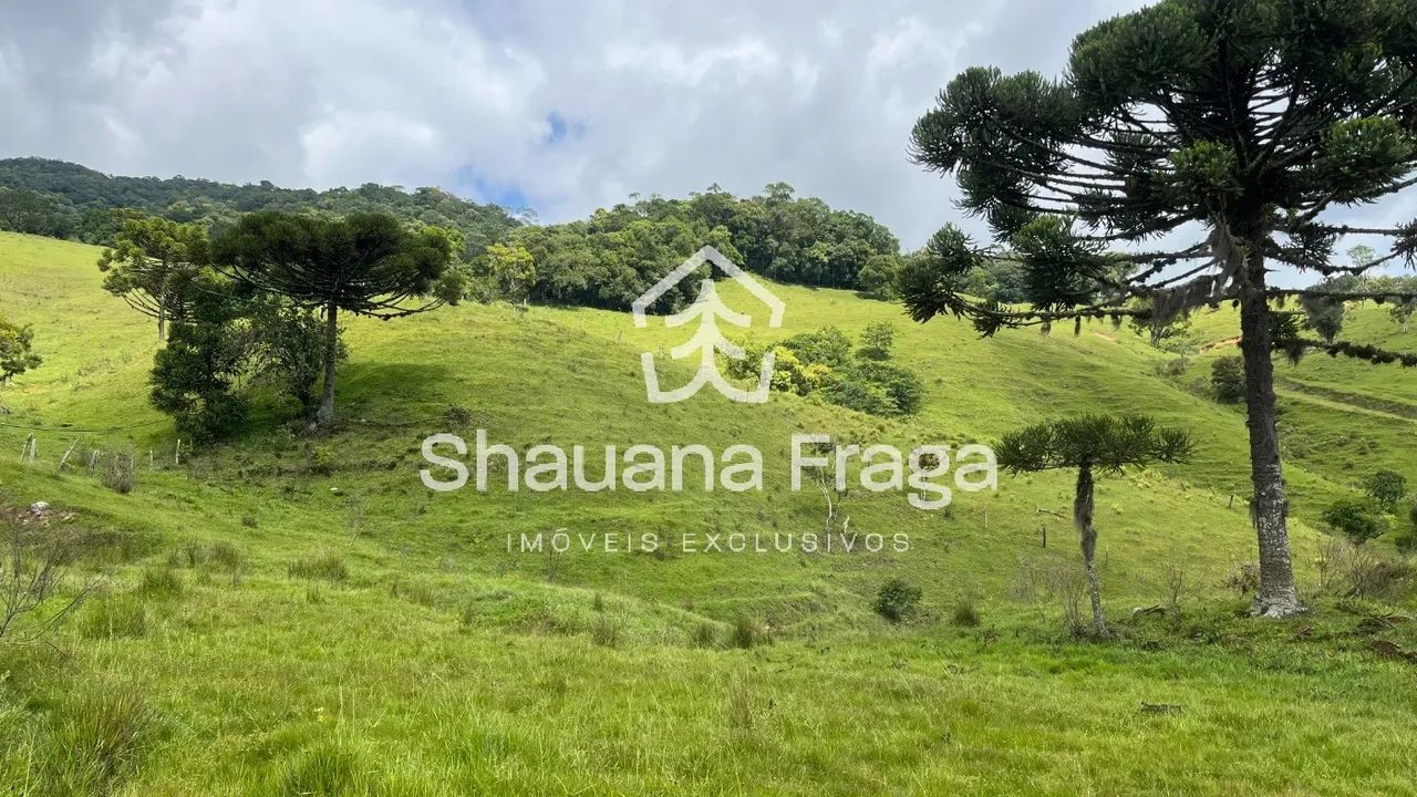 Rancho Queimado/SC - 6 Hectares com Lagoa e Vista em Taquaras - Foto 4