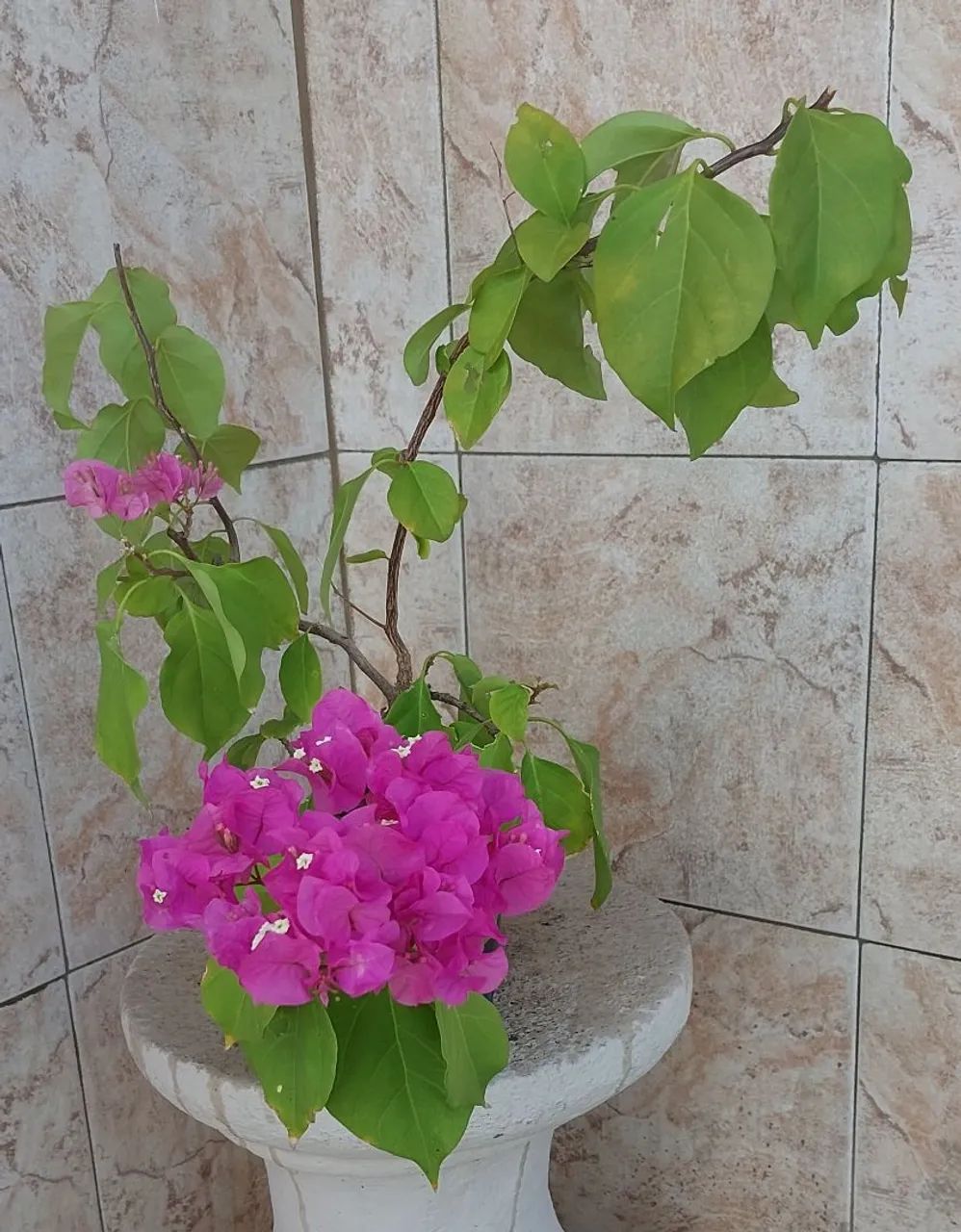 Vendo  - Foto 3