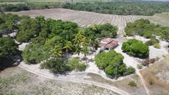 Fazenda com 270 hectares próximo a Macaíba - Foto 5