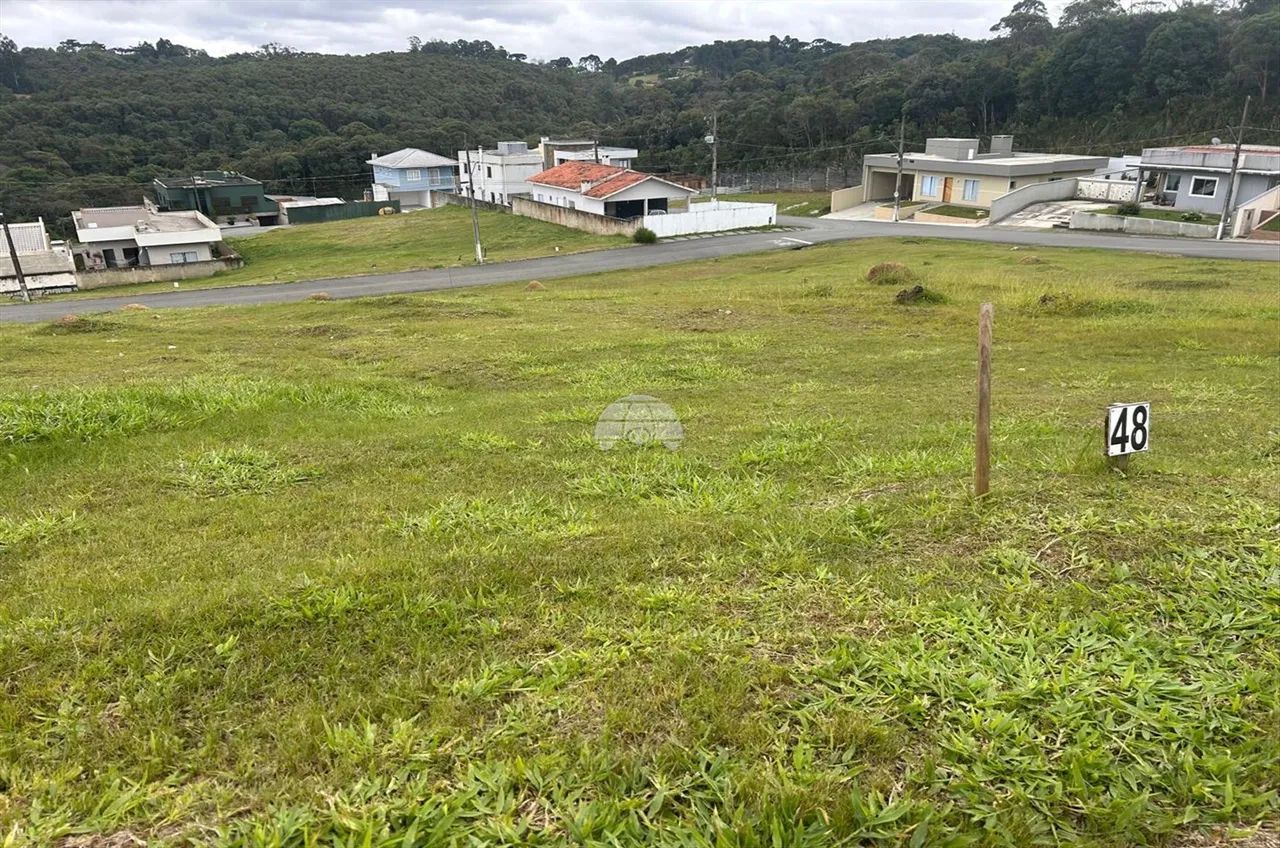 Vendas Terreno Colombo PR - Foto 5