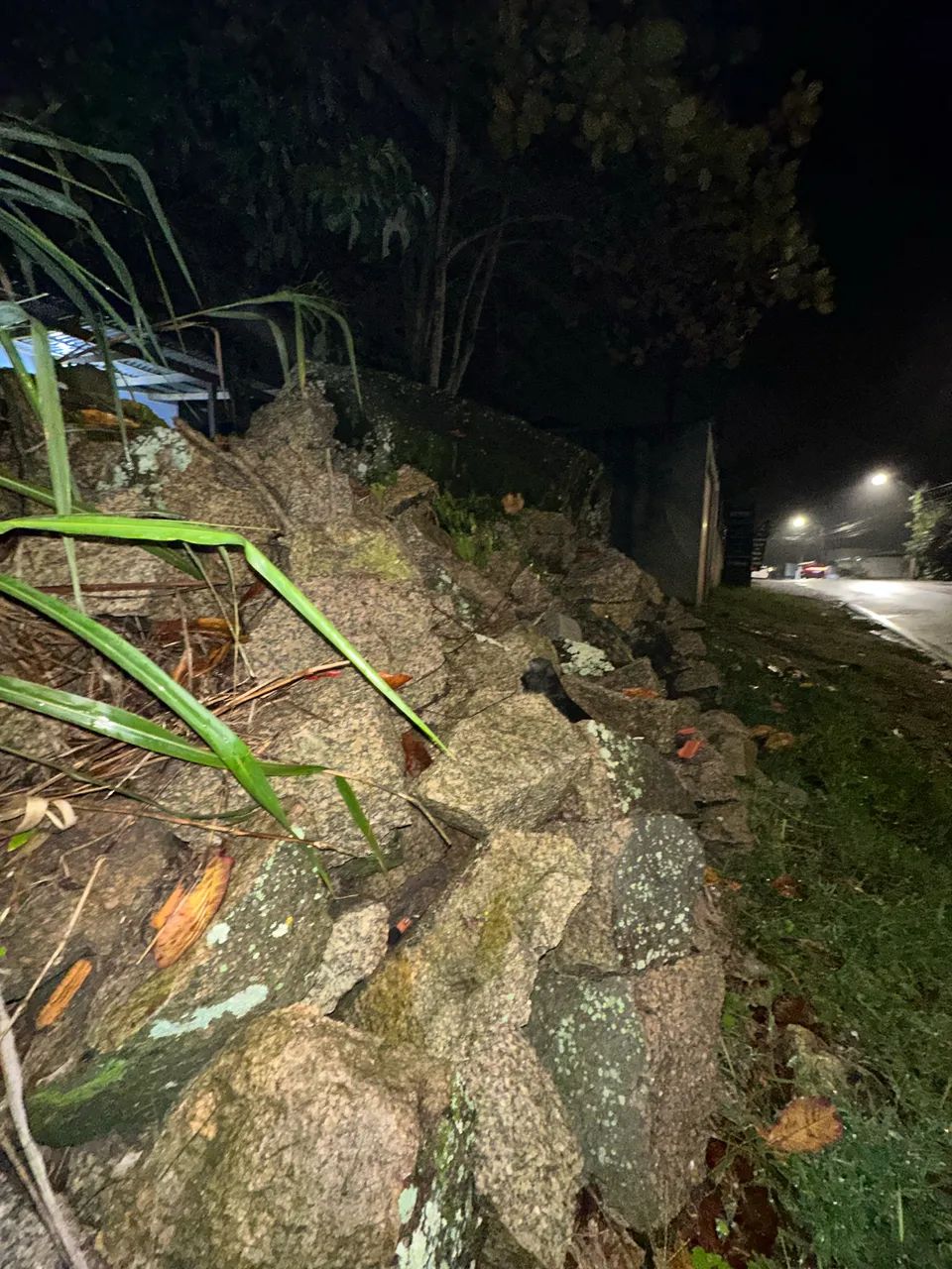 Pedra - Foto 5