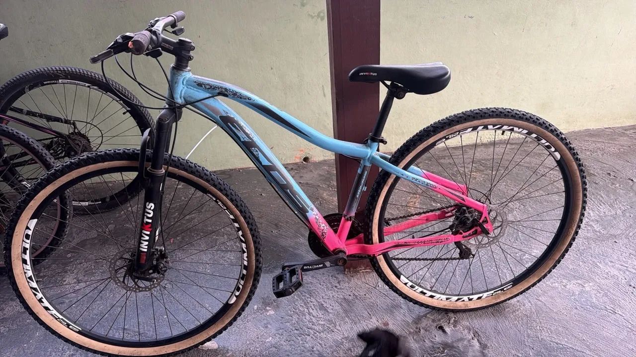 Bicicleta aro 29