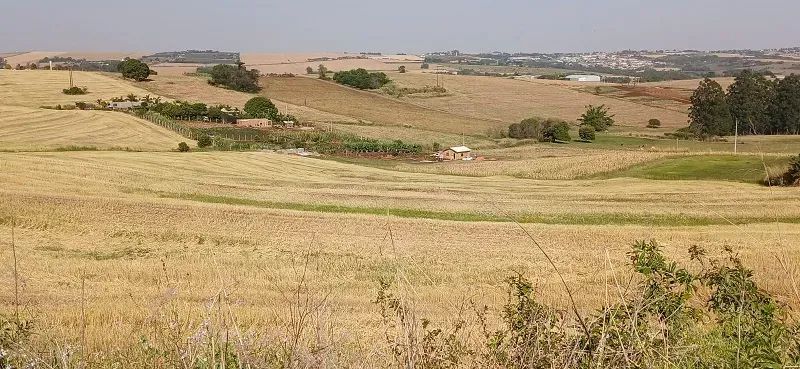TERRA ROXA - Área Rural 4 Alqueires - Foto 3