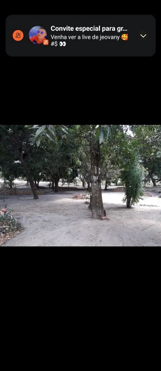 Sitio  - Foto 5