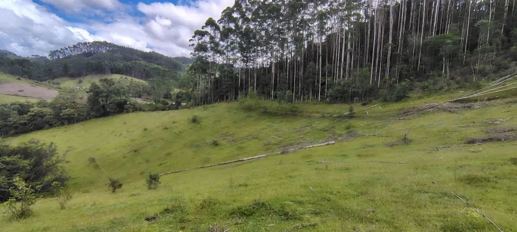 LINDA TERRENO PARA CHACARA 2 HECTARES EM ANITAPOLIS! ESCRITURADA E REGISTRADA. - Foto 3