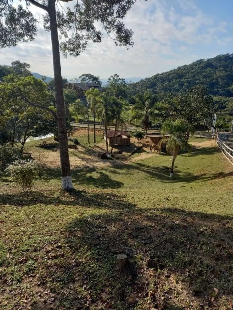 Sítio à venda, 3 m² por R$ 700.000 - São Sebastião - Palhoça/SC - Foto 6