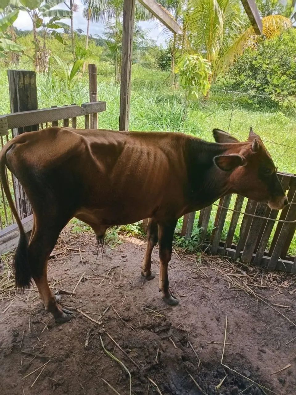 Vendo  - Foto 2