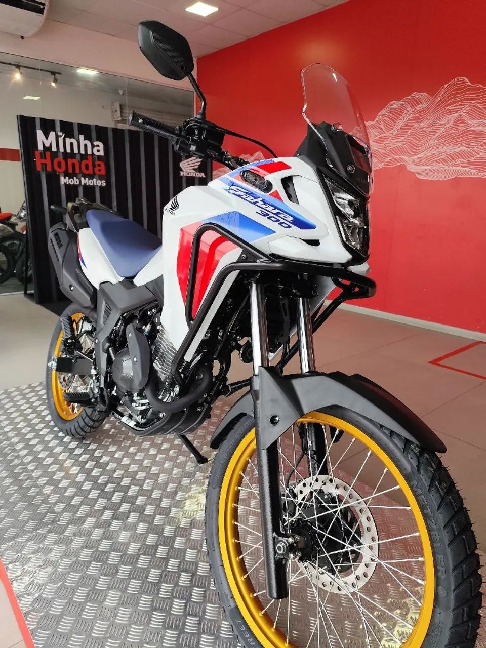 Sahara 300