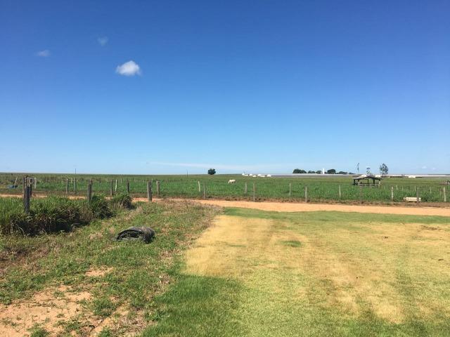 Granja com área de 40 hectares, localizada a 50 km de Lucas do Rio Verde - Foto 7