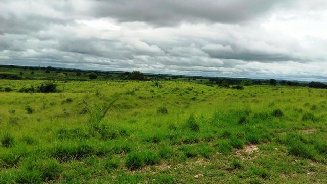 Fazenda 1700 alqueires na beira do Rio Araguaia-TO - Foto 9