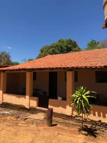 Fazenda - Paraíso do Tocantins/TO - Foto 3