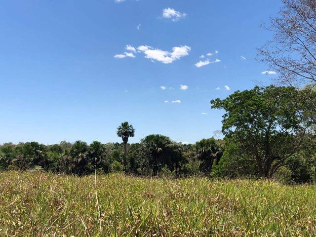 Fazenda - Paraíso do Tocantins/TO - Foto 17