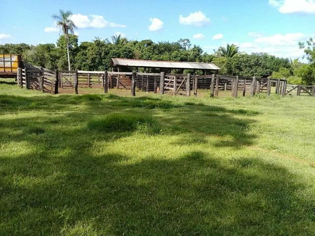Fazenda 350,hectares beira do rio cuiaba - Foto 7