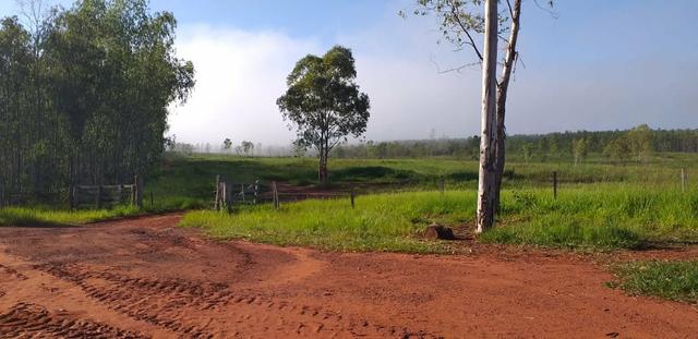 Fazenda Juscimeira