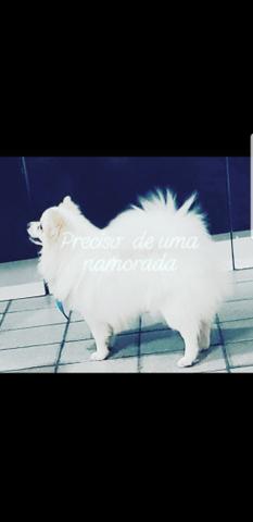 Preciso de uma namorada *