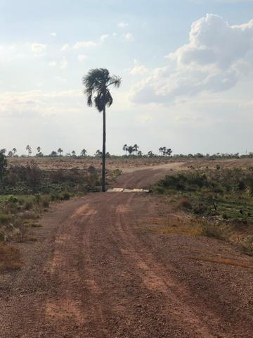 Fazenda no Bonfim - Foto 8