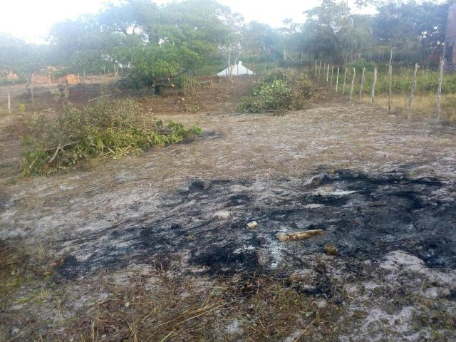 Terreno próximo à Praia do Forte - Foto 6