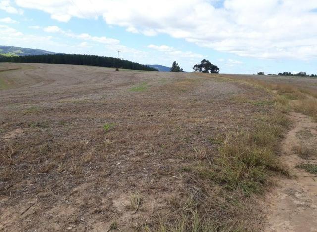 Terreno rural - Foto 10