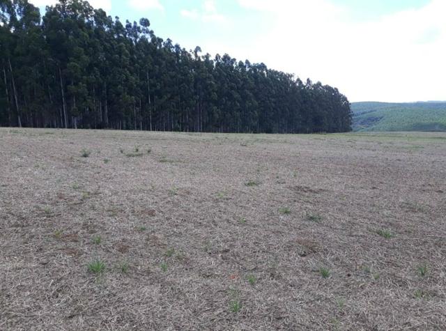 Terreno rural - Foto 8