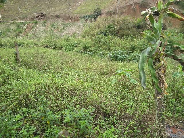Excelente terreno em contendas S J V do Rio preti - Foto 6