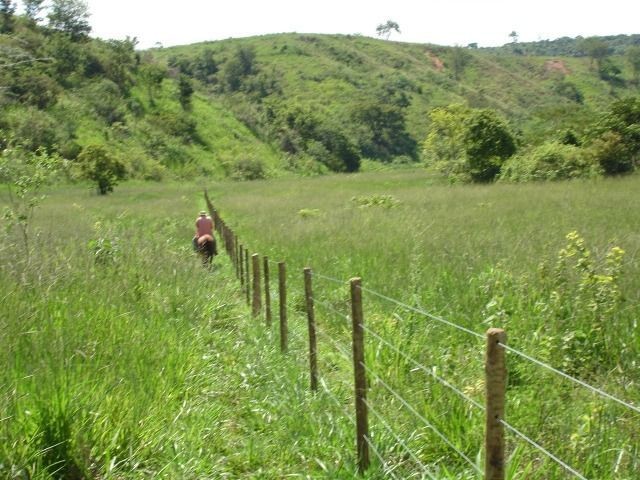 Fazenda 484 hectares em Governador Valadares/MG - Foto 6