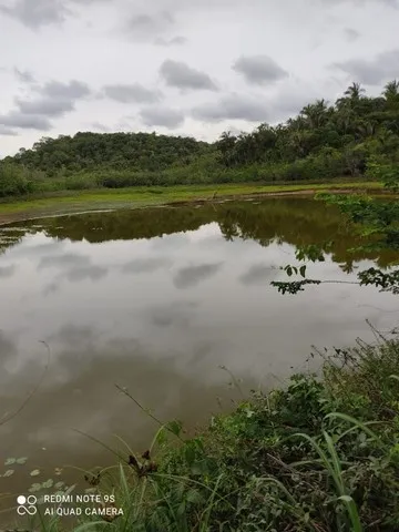 Fazenda em Aldeias Altas-Ma