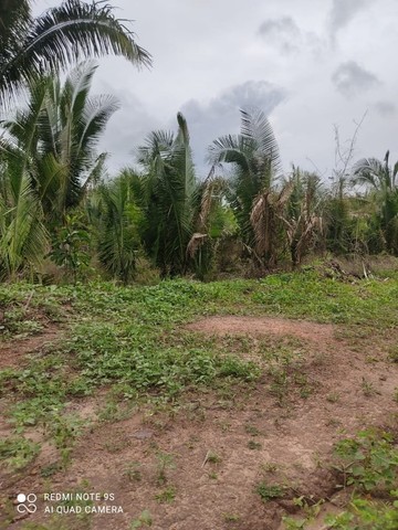 Fazenda em Aldeias Altas-Ma - Foto 3