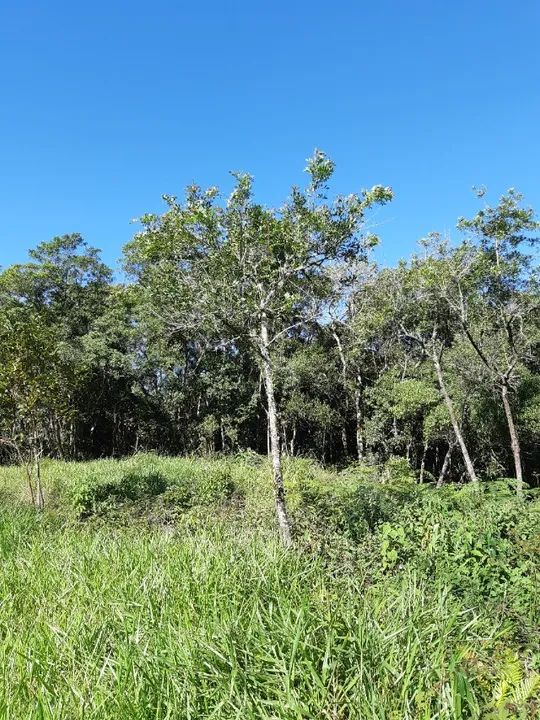Oportunidade em Caucaia do Alto. - Cotia. - Foto 2
