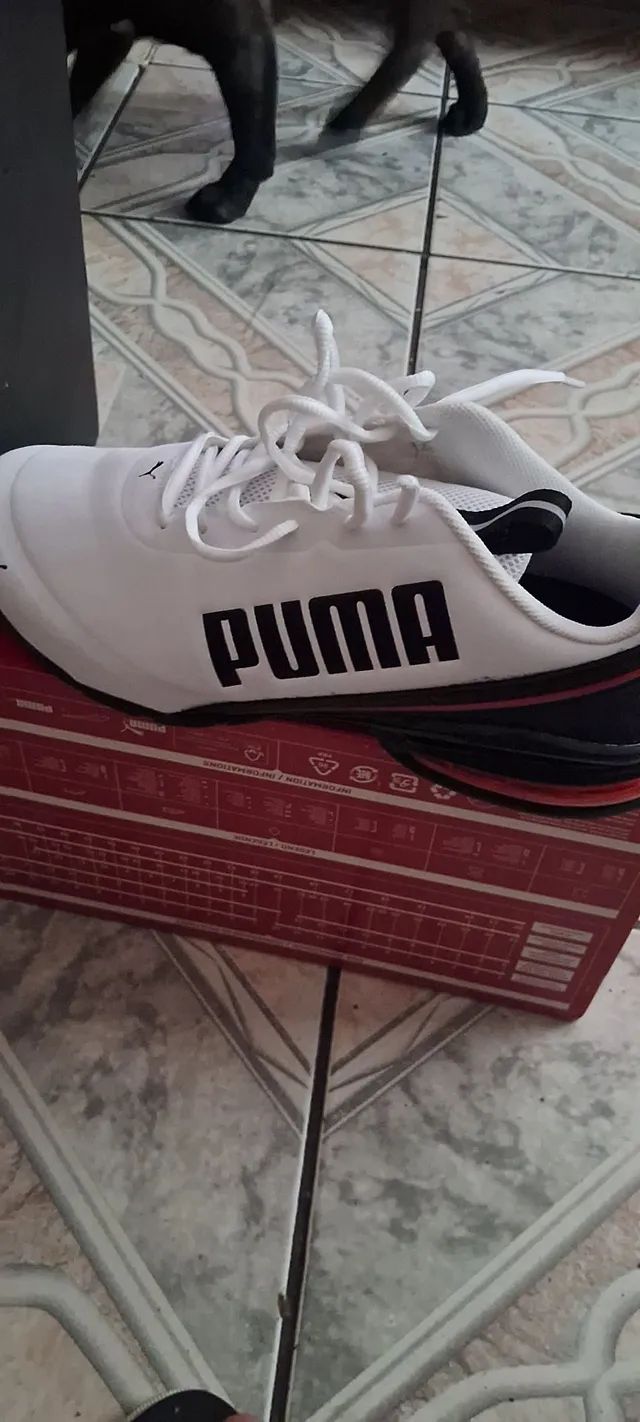 Zapatos puma 2024 olx brasil