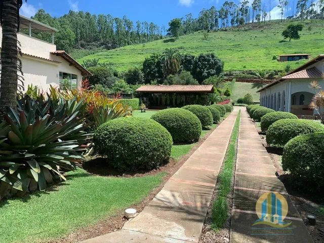 SÍTIO À VENDA  SÃO MIGUEL DO ANTA/MG - Foto 4