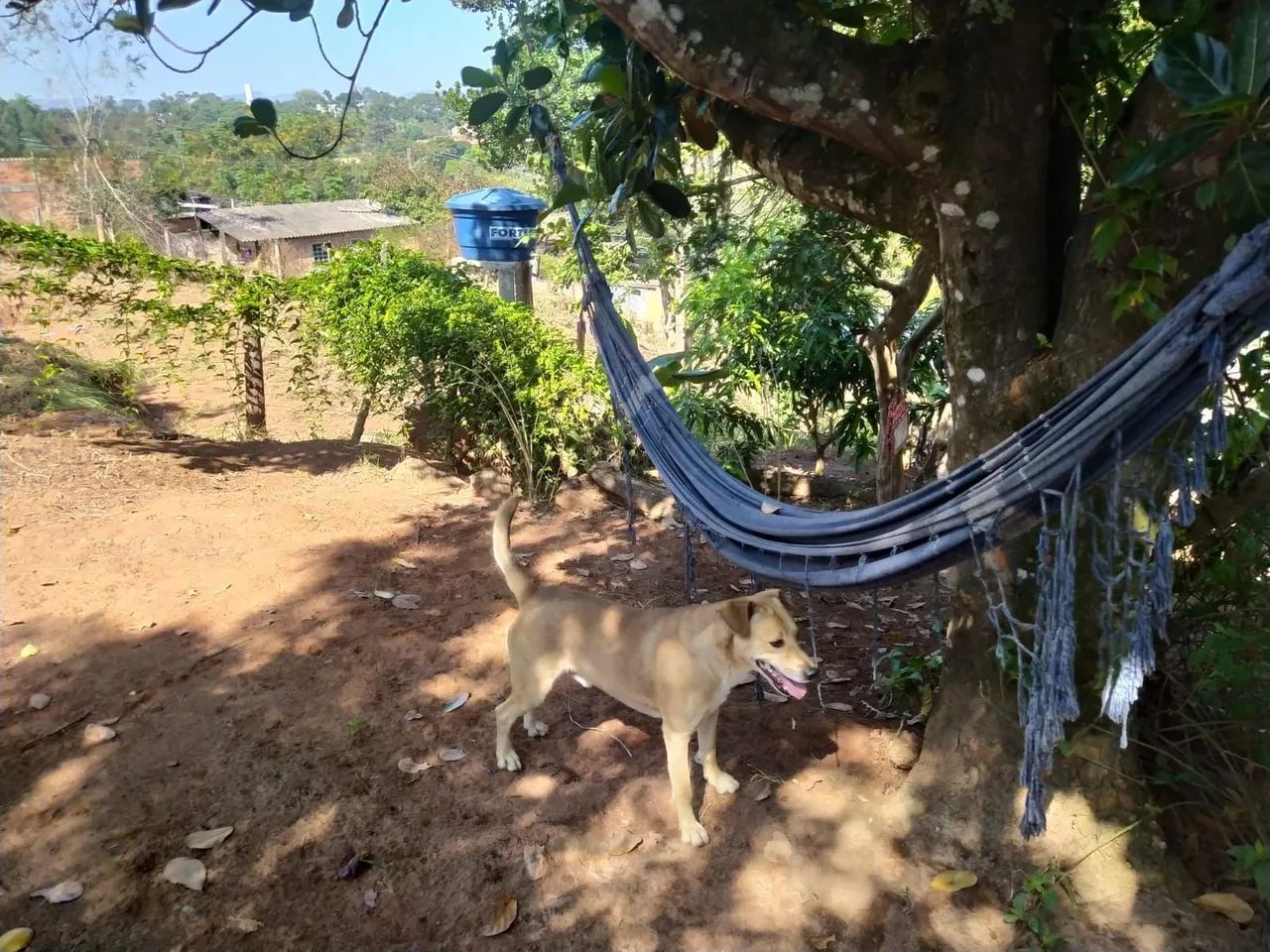 foto - São José dos Campos - Bom Retiro