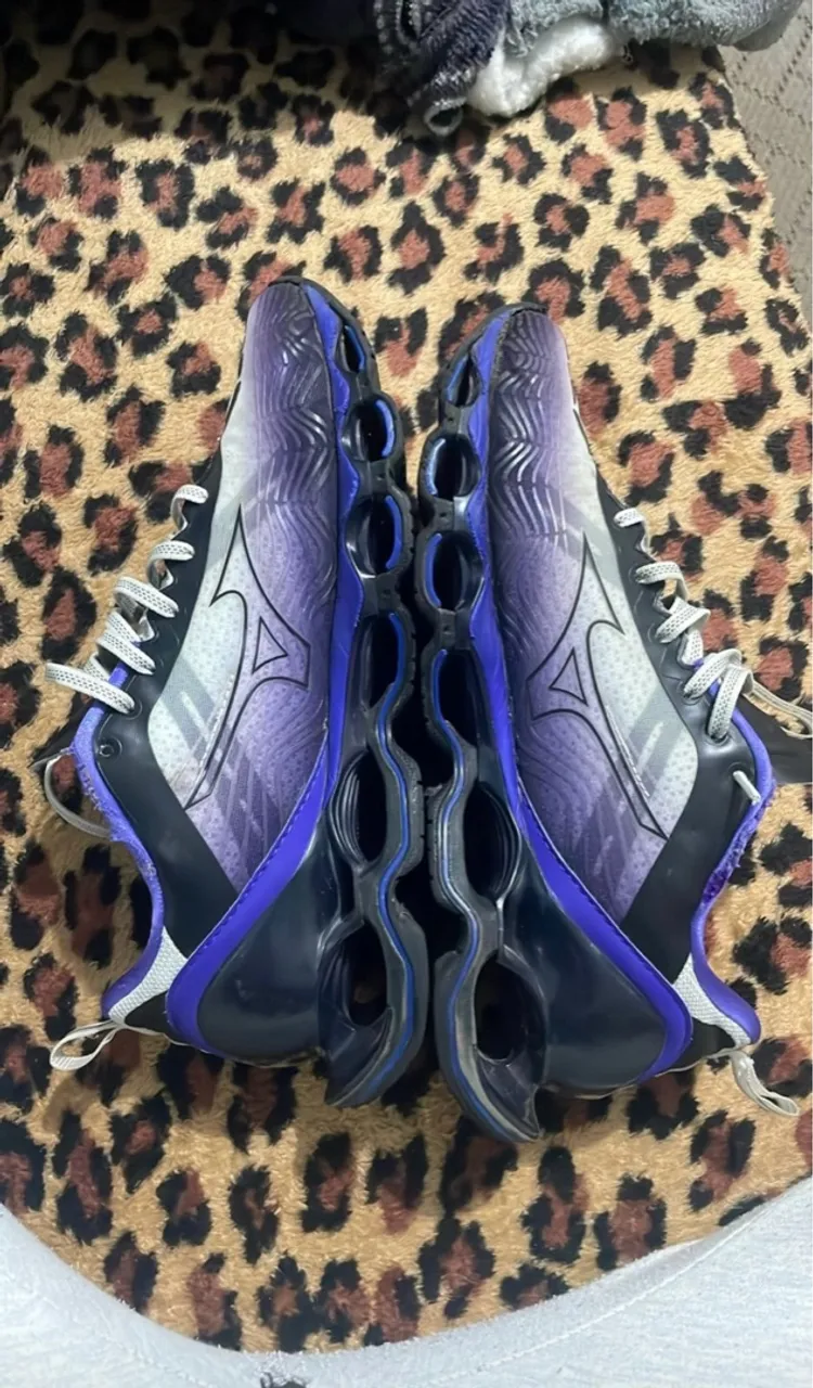 Mizuno prophecy x