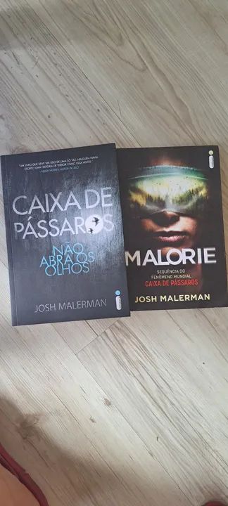 Caixa de Pássaros e Malorie - Sequência do Fenômeno Mundial