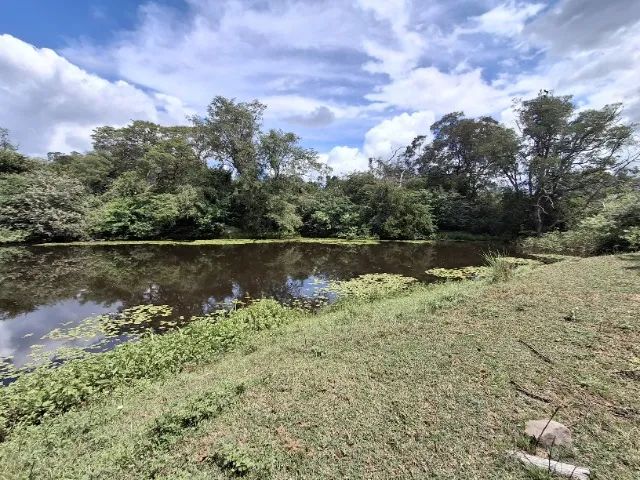 Fazenda a Venda - Foto 4
